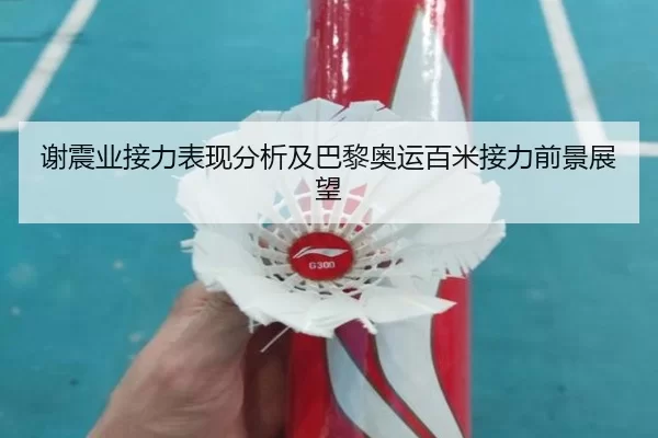 谢震业接力表现分析及巴黎奥运百米接力前景展望